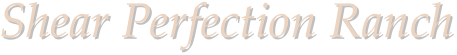 Shear Perfection Ranch