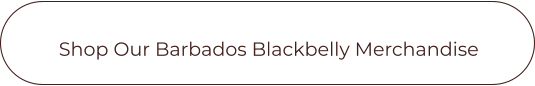 Shop Our Barbados Blackbelly Merchandise