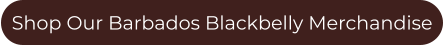 Shop Our Barbados Blackbelly Merchandise